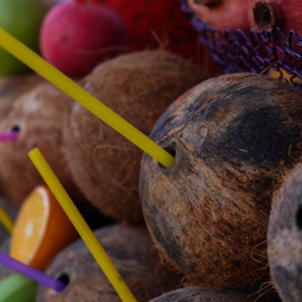 10 Genius Hacks for Storing Every Type of Vegetable Perfectly