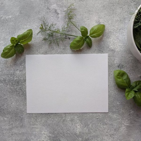 11+ Ingenious Hacks to Keep Your Basil Fresh for Longer