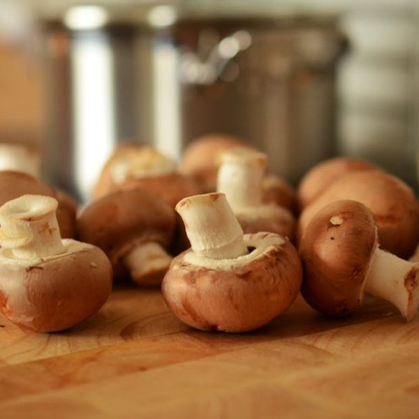 11+ Simple Tips for Storing Mushrooms to Keep Them Fresh Longer