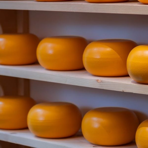 4+ Innovative Ways to Safely Store Milk at Home