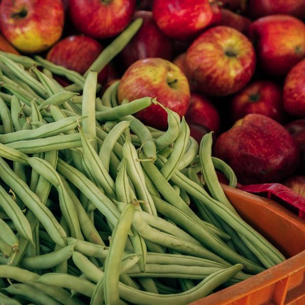 4+ Smart Tips to Keep Green Beans Fresh Longer