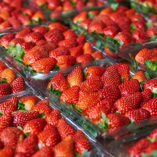 5+ Berry Good Tips for Perfectly Canning Strawberries at Home