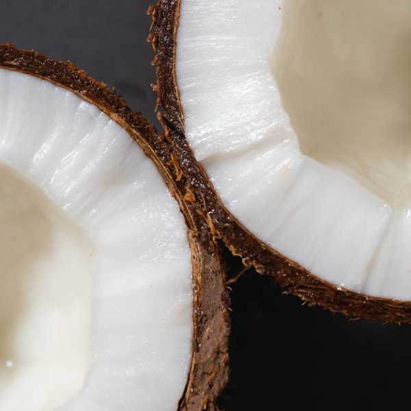7 Quick & Easy Ways to Store Coconut Milk Effectively