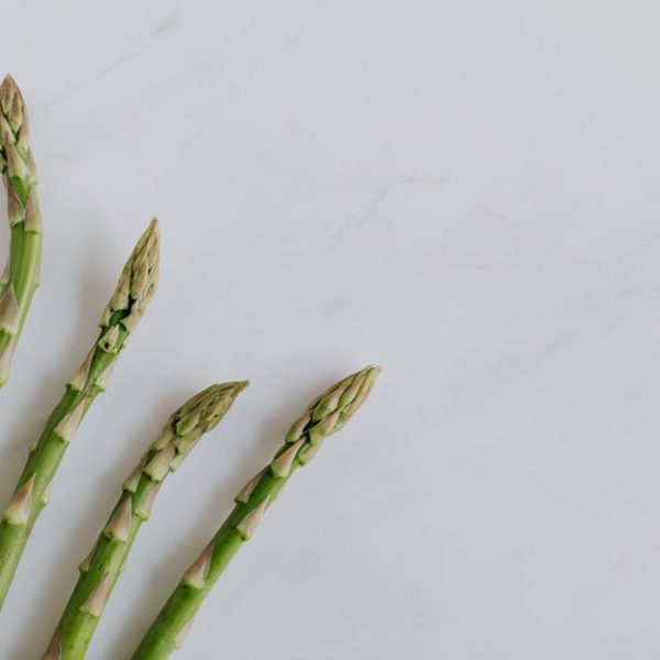 7 Tips to Keep Asparagus Fresh for Longer