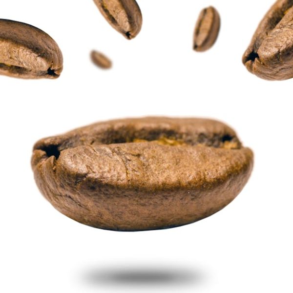 Can You Freeze Coffee? 5 Tips for Freezing It Successfully