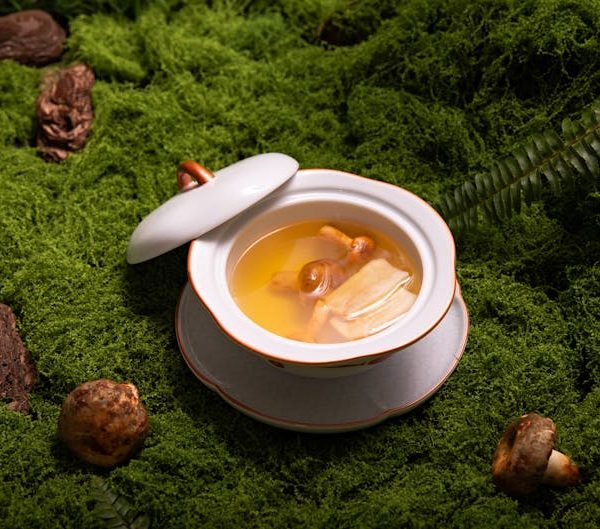 Comparing Ginseng vs. Ginger: Key Differences Explored