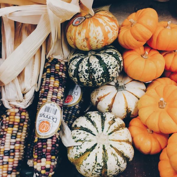 Effective Methods to Freeze Squash for Year-Round Freshness