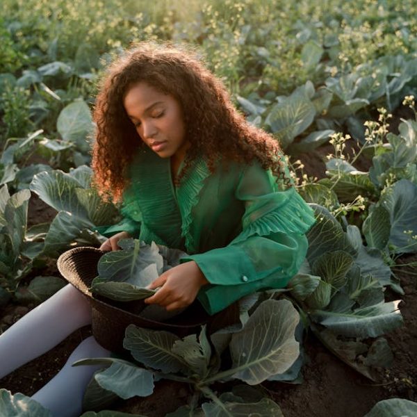 Exploring Cabbage Varieties: Tips for Choosing Different Types