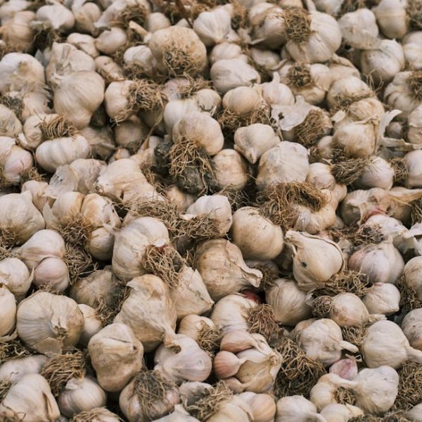 Garlic vs. Garlic Powder: Understanding the Key Differences