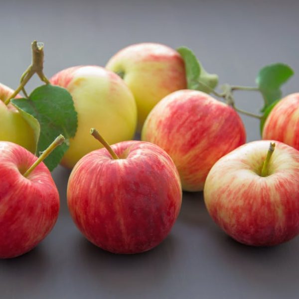 How Long Are Apples Good For? Top Tips to Keep Them Fresh Longer