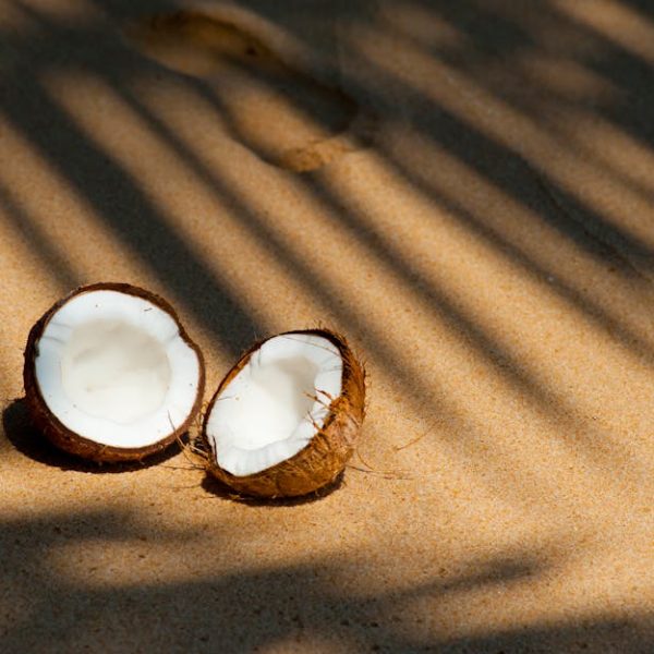 How Long Does Coconut Milk Last? Storage Tips & Shelf Life Guide