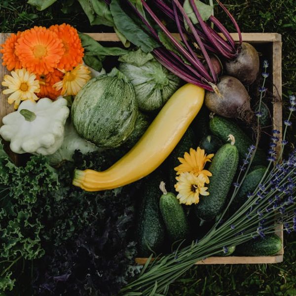 Kale vs. Collard Greens: Understanding Their Key Differences