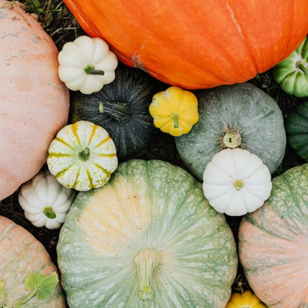 Keep Refrigerated Spaghetti Squash Fresh: Top Storage Tips