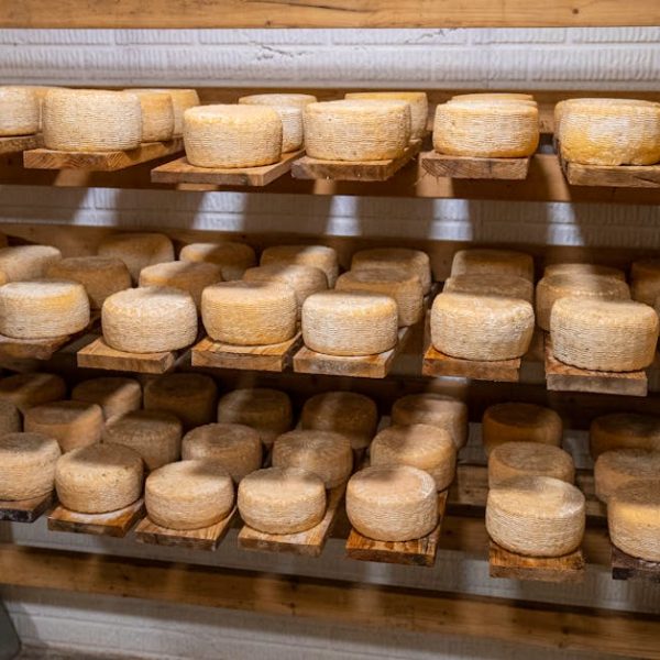 Keeping Gouda Cheese Fresh: Spotting When Gouda Has Gone Bad