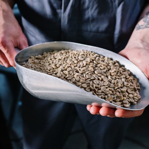 Master the Art: 5 Essential Tips for Freezing Coffee Beans Right