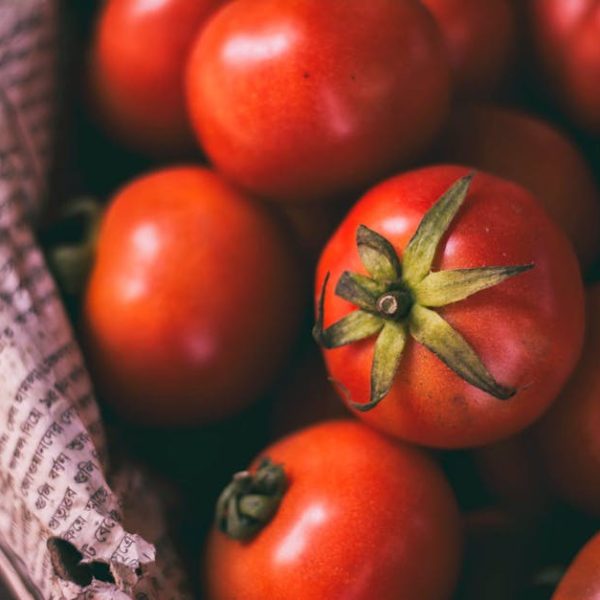 Mastering Home-Canned Tomato Sauce: Your Perfect Guide