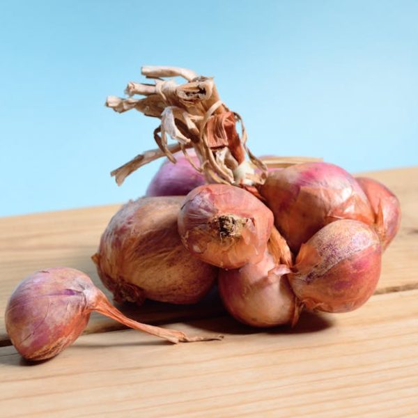 Shallots vs. Scallions: A Guide to Key Culinary Differences