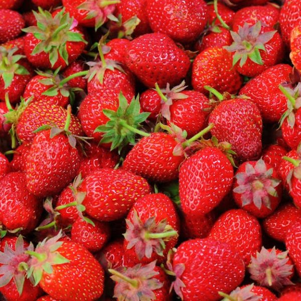 Strawberry Shelf Life: How Long Can They Stay Fresh?