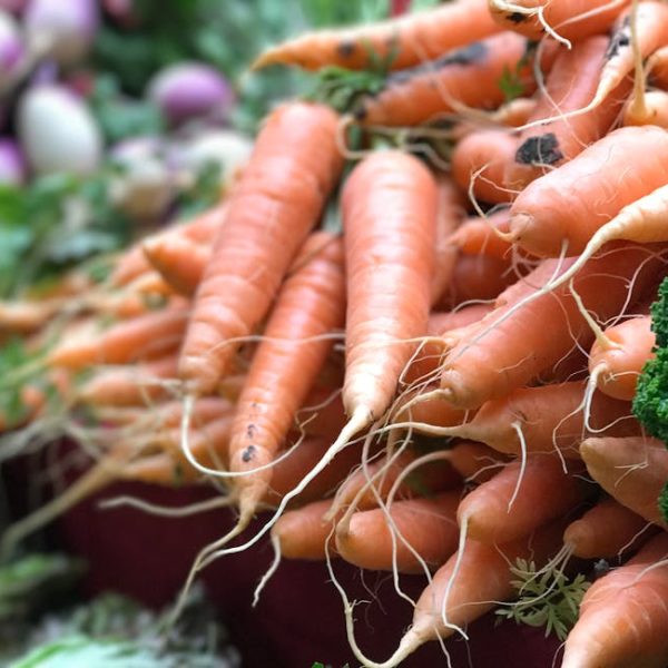 Turnips vs. Parsnips: Key Differences and Health Benefits