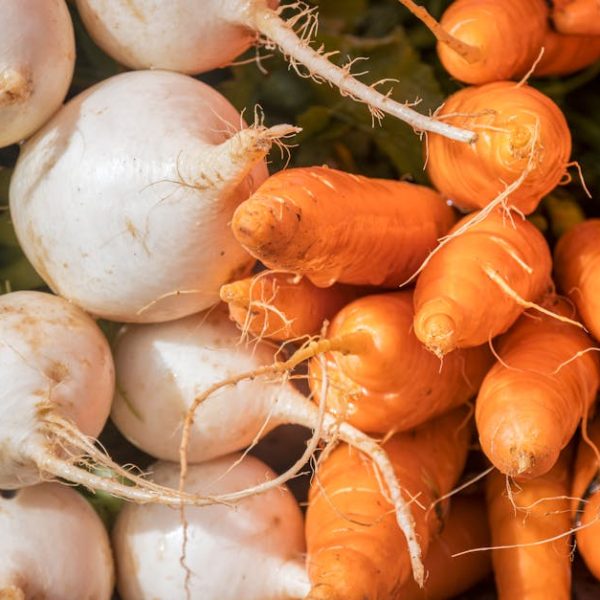 Turnips vs. Radishes: Understanding Their Key Differences