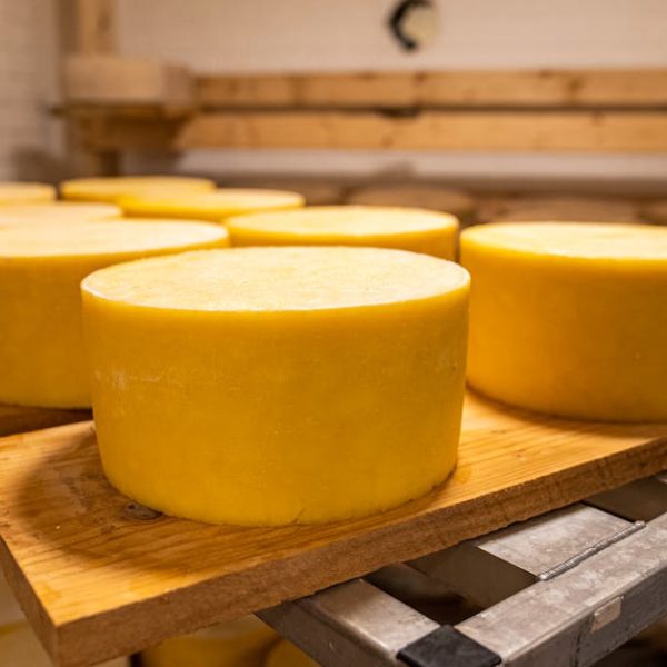 Unveiling Lifespan: How Long Does American Cheese Last?