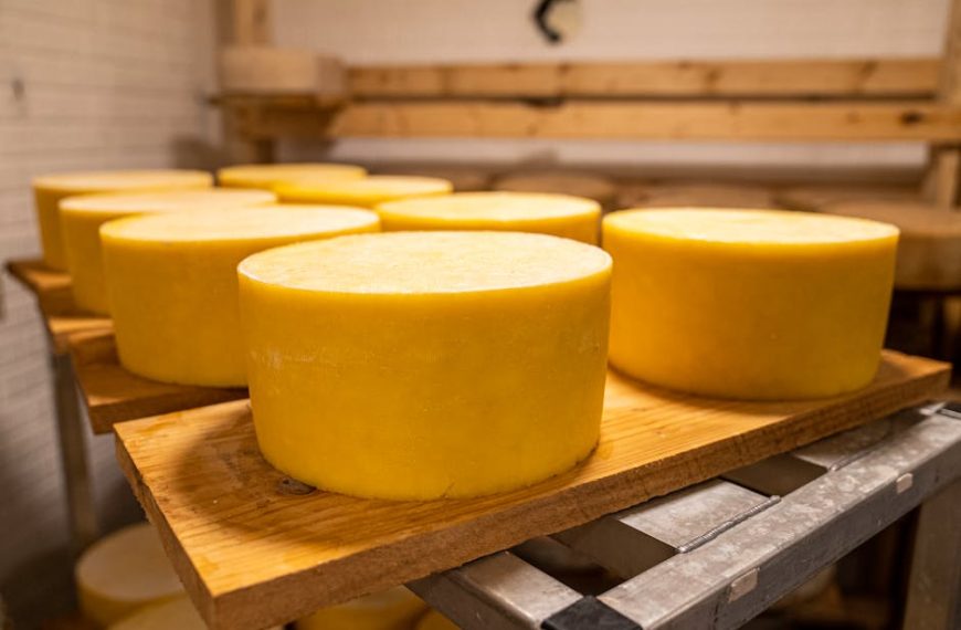 Unveiling Lifespan: How Long Does American Cheese Last?
